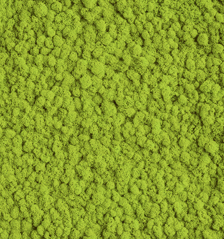 Chartreuse Green  Reindeer Moss Color Sample