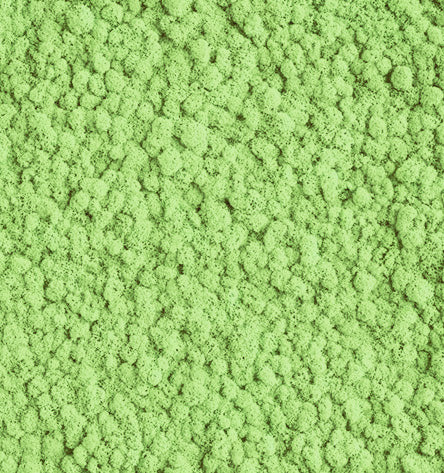 Minty Breeze Green  Reindeer Moss Color Sample