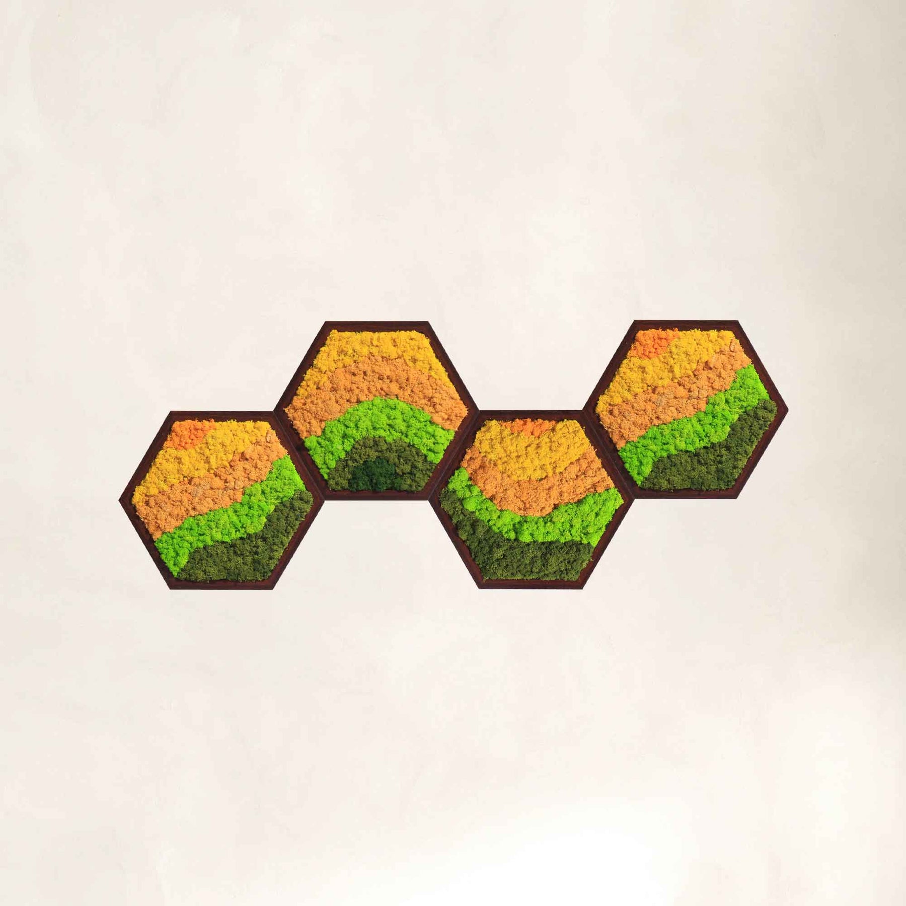 Hexagon Streamlined Modular Moss Wall Art Sets - Moss Art | Wildleaf