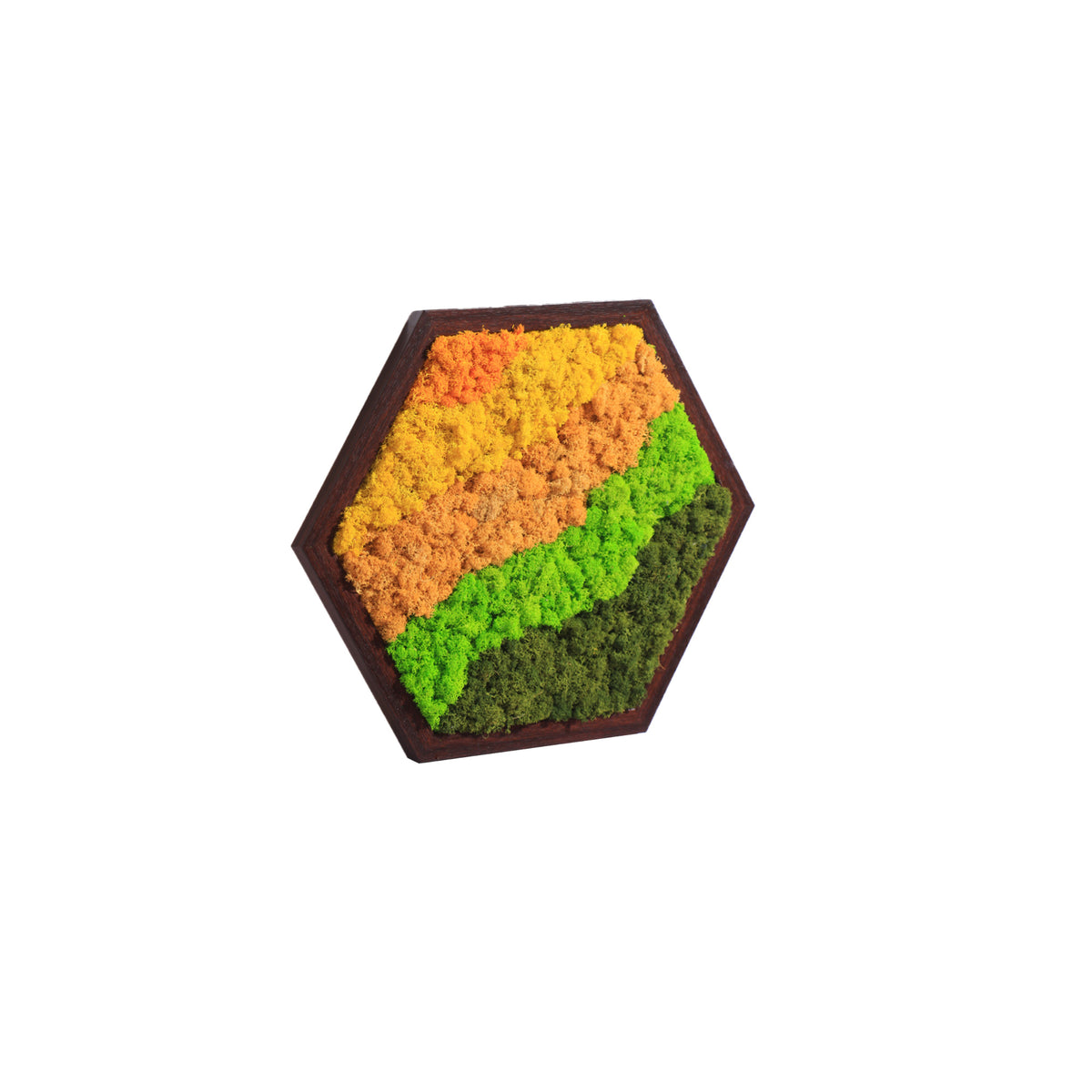 Hexagon Streamlined Modular Moss Wall Art Sets - Moss Art | Wildleaf