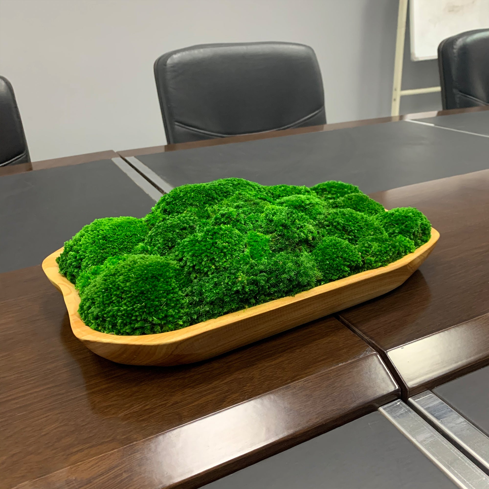 Natural moss centerpiece creating zen atmosphere in modern office room.