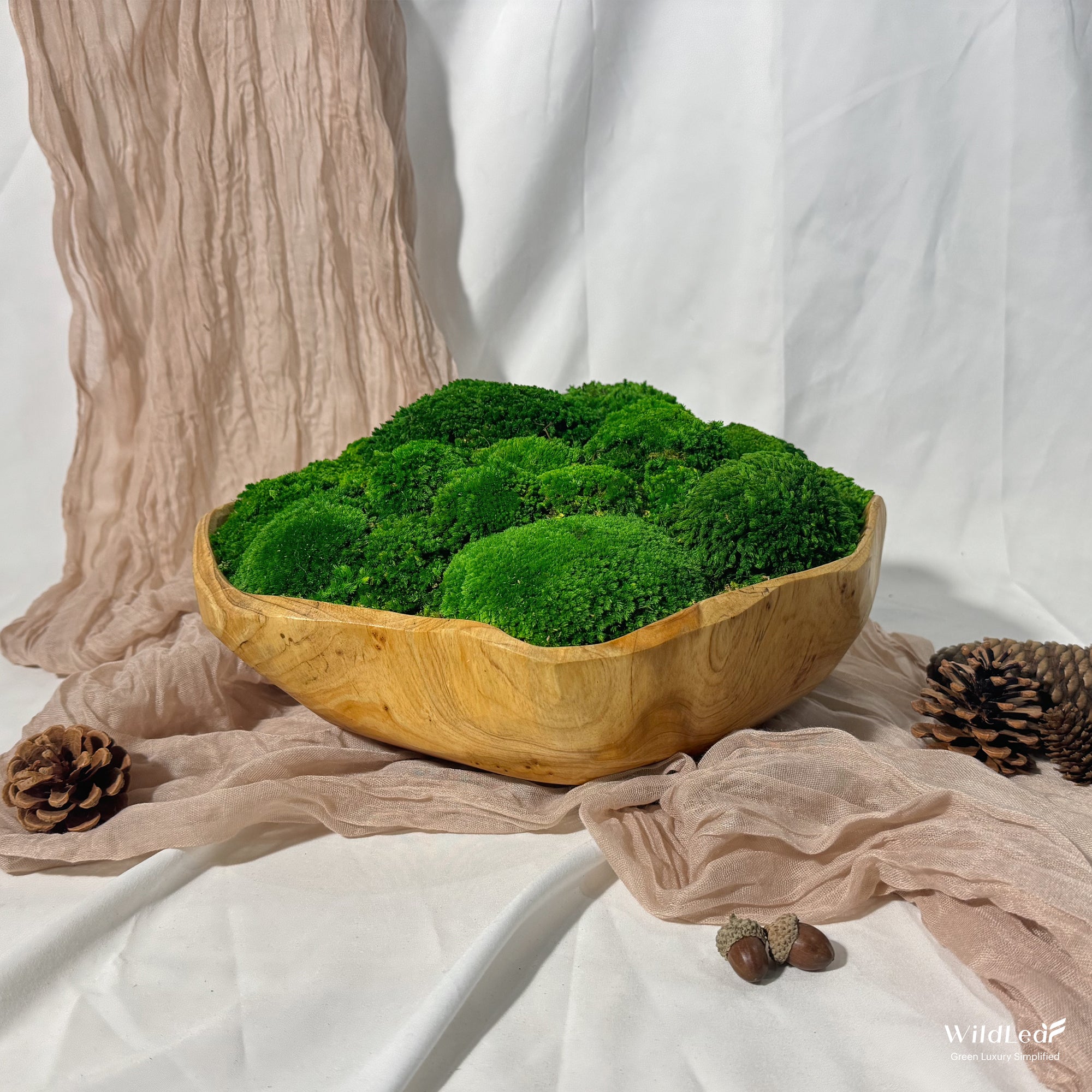 Side profile of large live edge moss bowl showcasing the layered texture of bun moss.