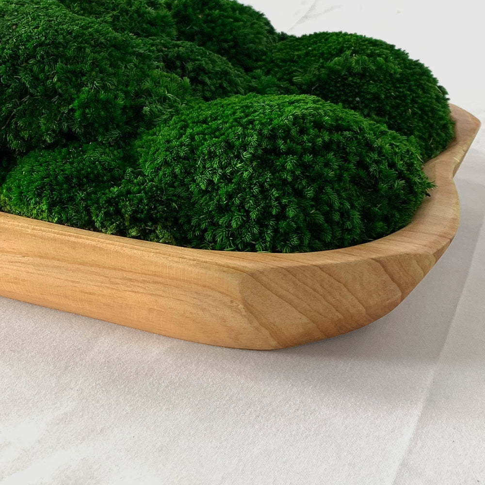 Live Edge Wooden Moss Bowl - Moss Centerpiece | Wildleaf