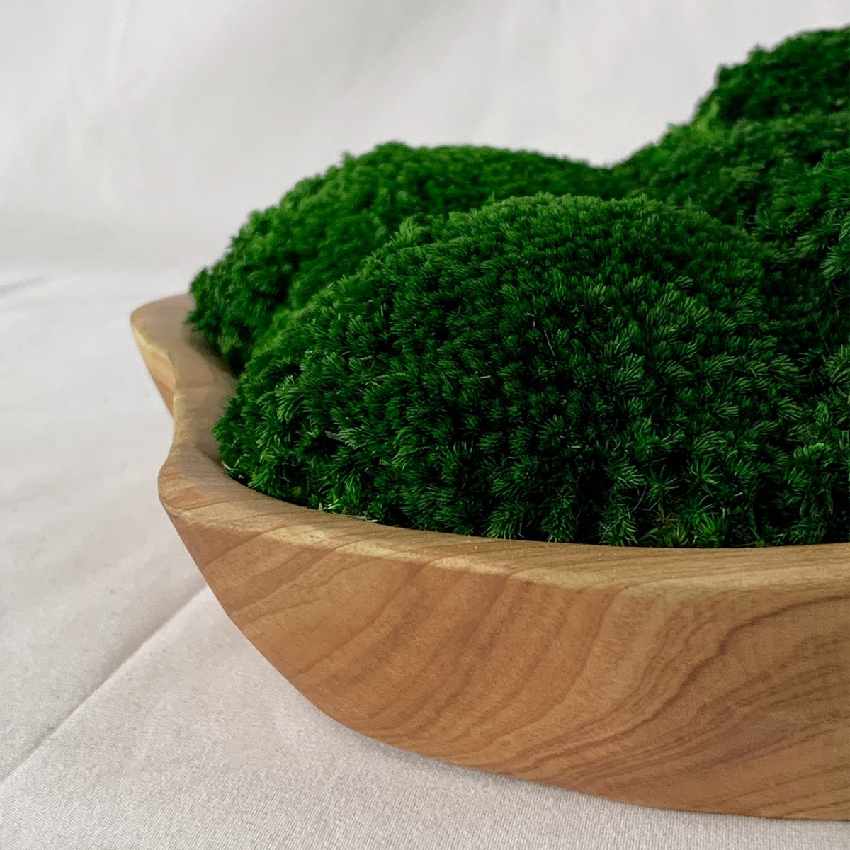Wooden moss bowl showing depth and natural wood grain detail.