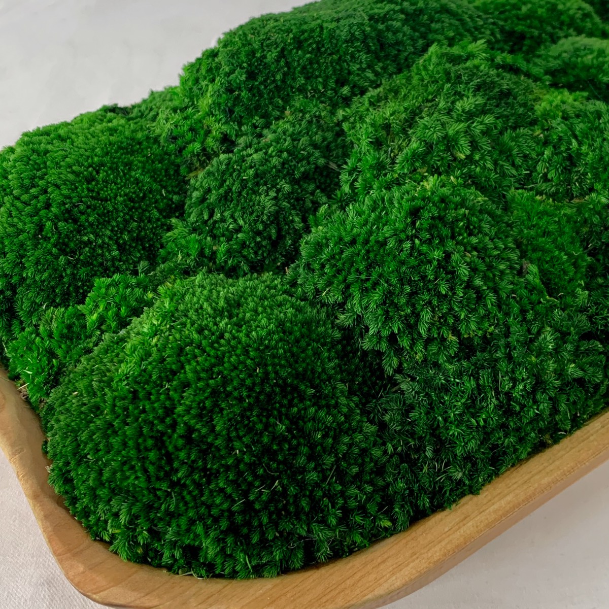 Close-up detail of preserved moss clusters in live edge wood moss bowl.