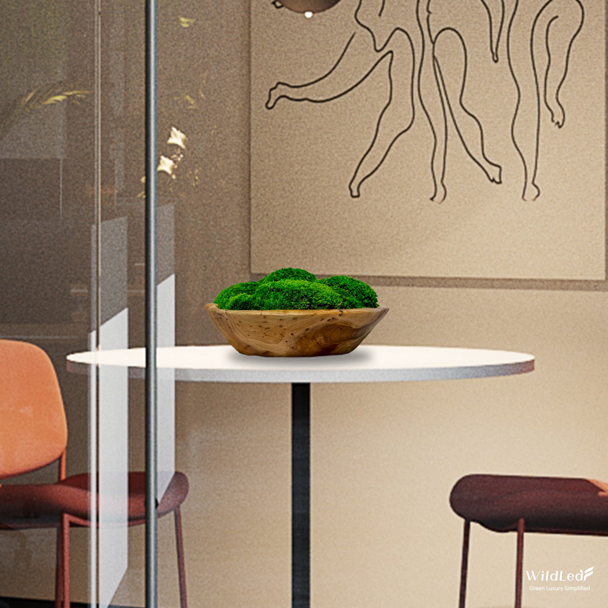 Moss bowl centerpiece on a cocktail table in a modern interior setting.
