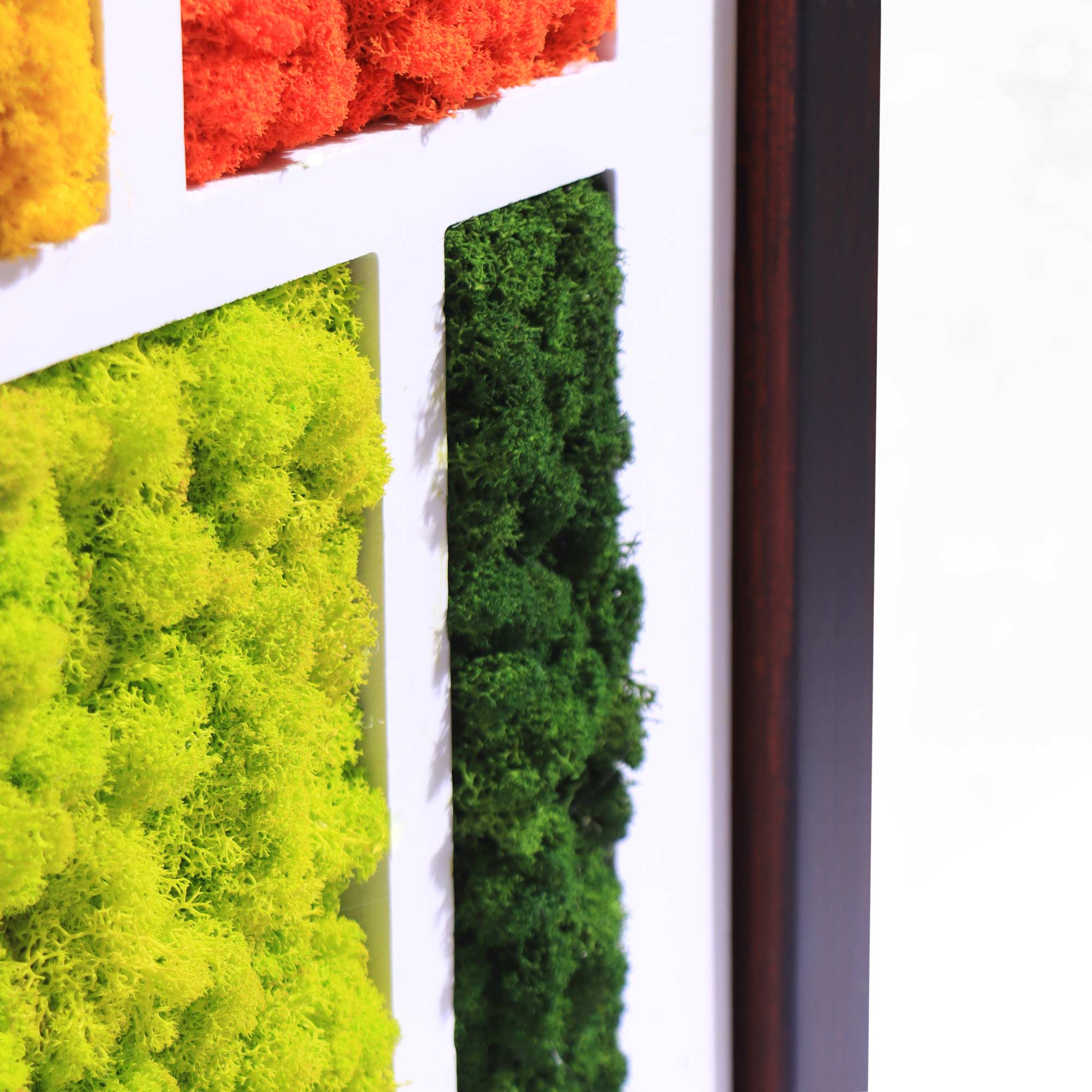 Close-up of geometric reindeer moss shapes in warm tones