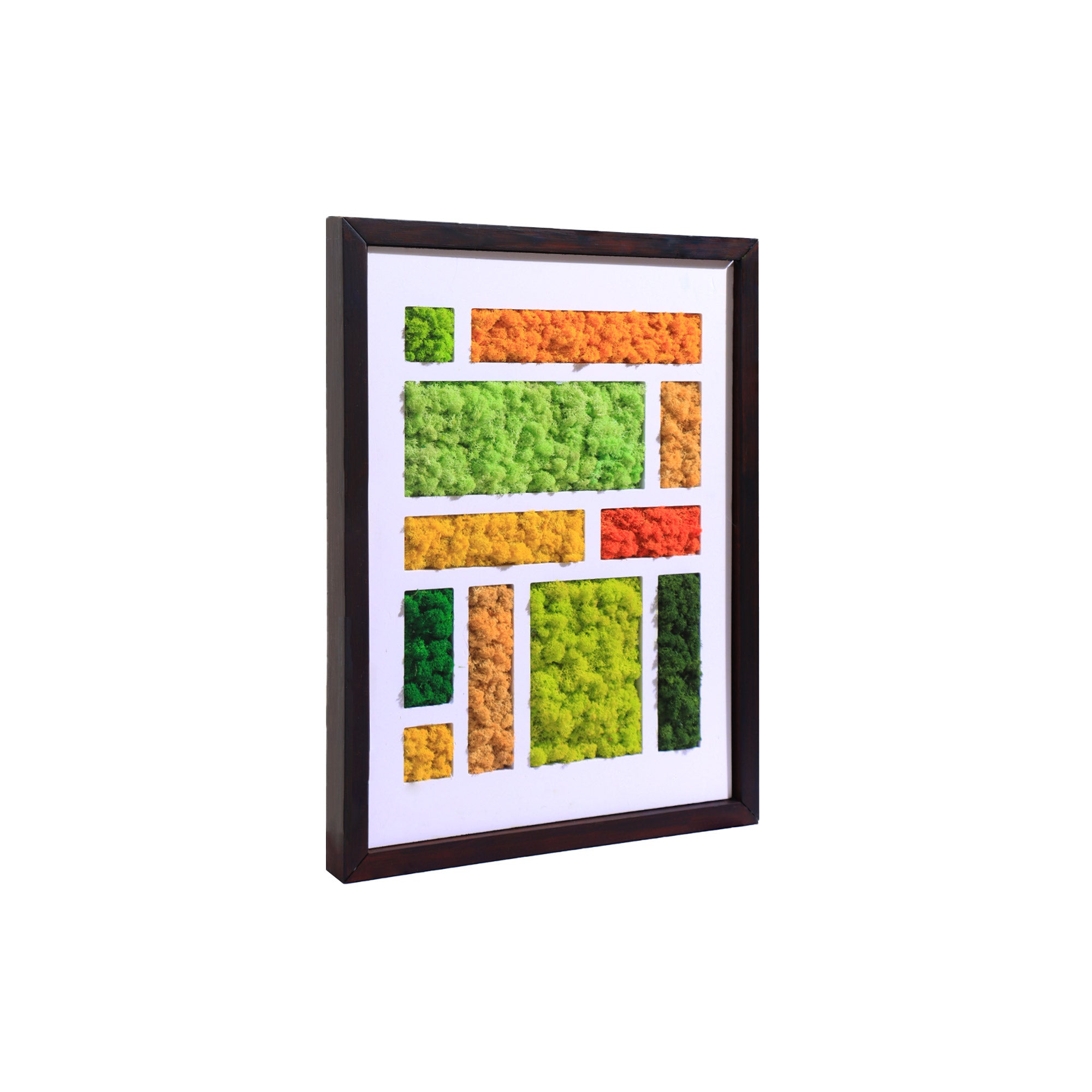 Side view of Mondrian-Inspired Warm Tones Reindeer Moss Art showcasing Dark Walnut Wood Frame