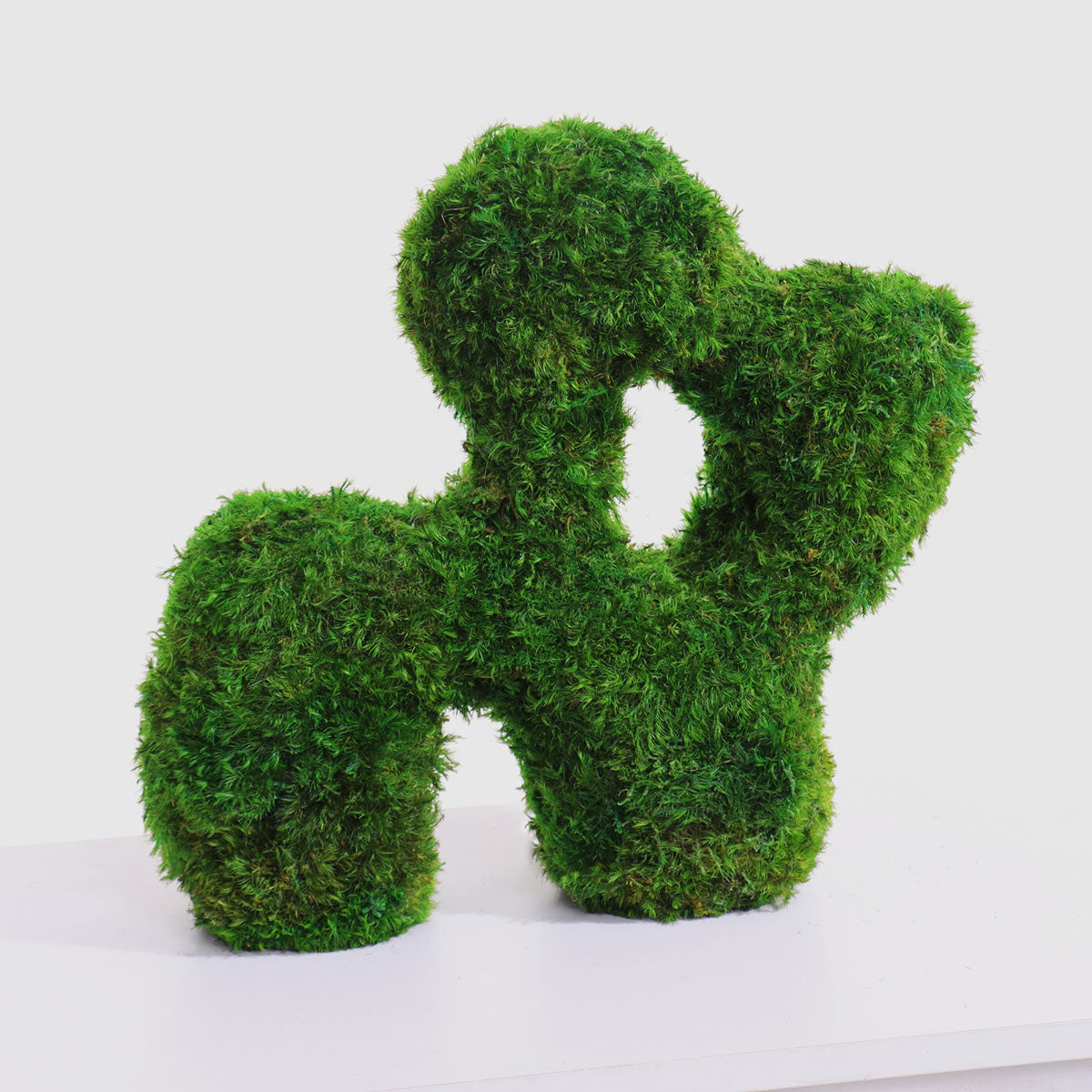 Side view of Mystic Blossom moss tabletop showing unique creature-plant hybrid form