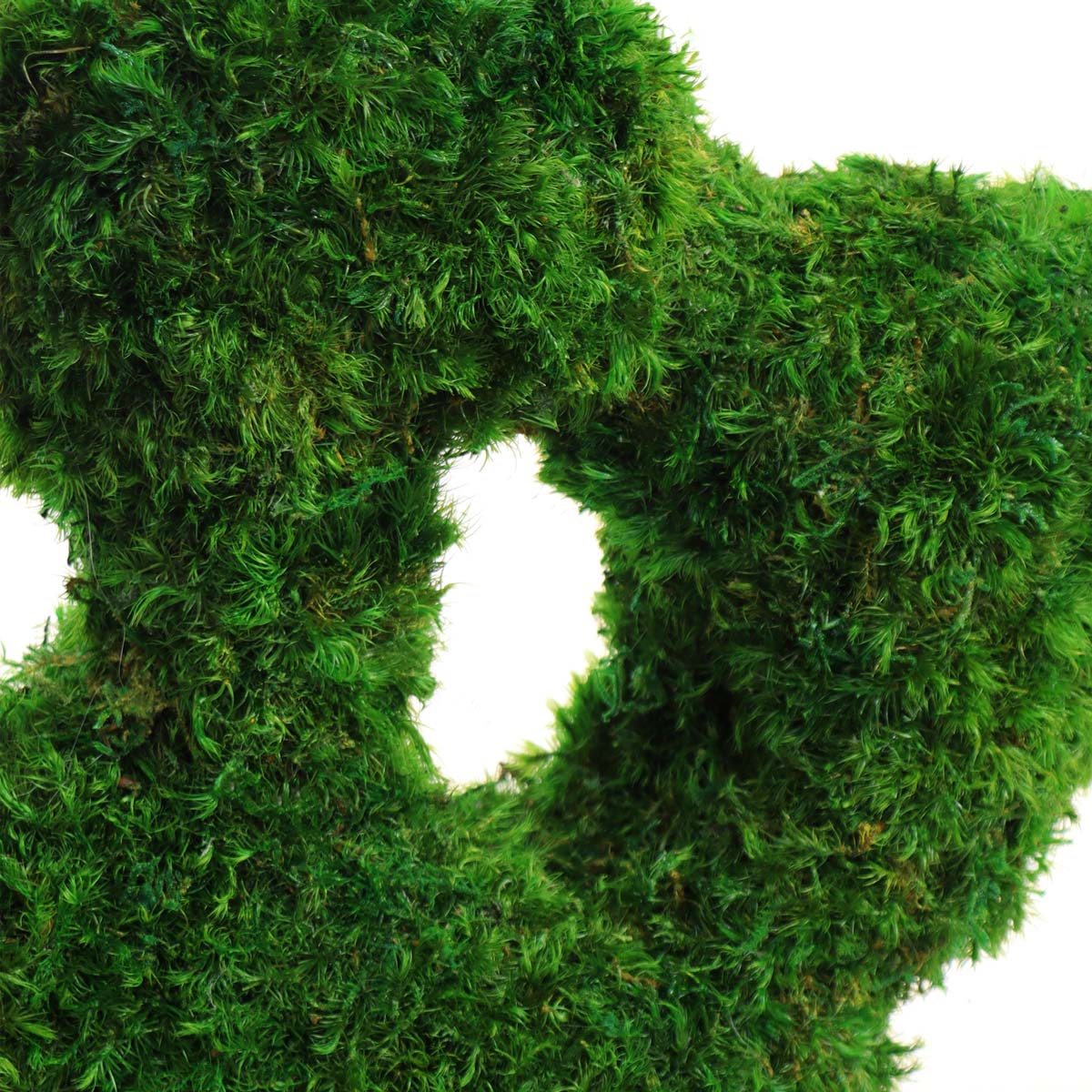 Close-up of lush preserved mood moss texture on fantastical blossom sculpture