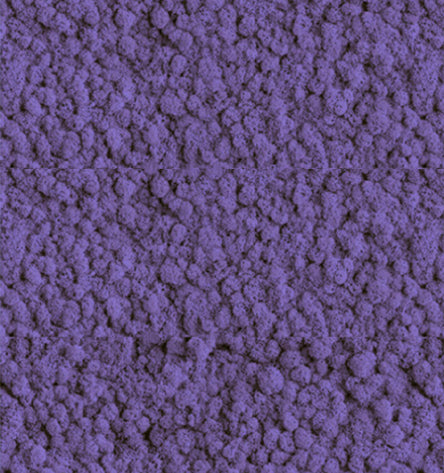 Grape Purple  Reindeer Moss Color Sample