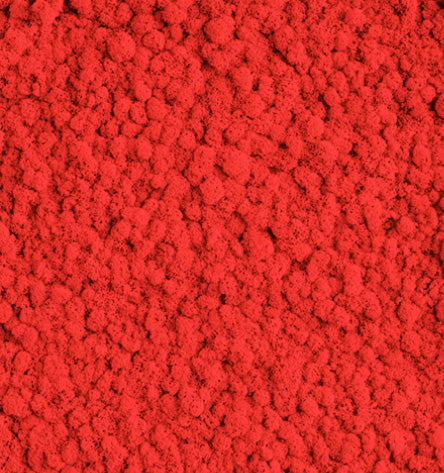 Coral Red  Reindeer Moss Color Sample