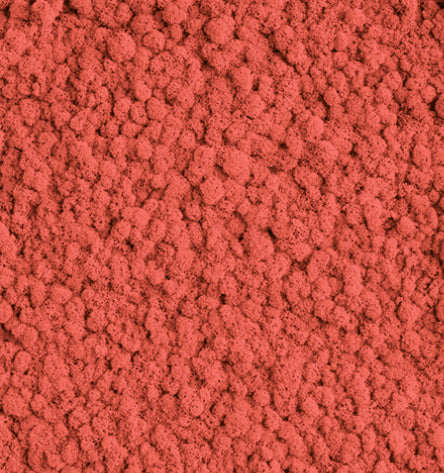Raspberry Red  Reindeer Moss Color Sample
