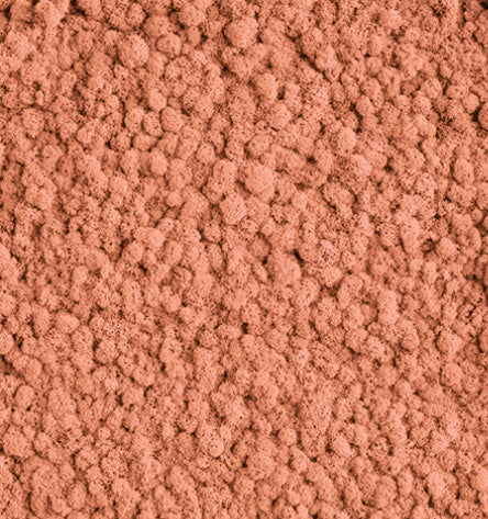 Peachy Red Reindeer Moss Color Sample