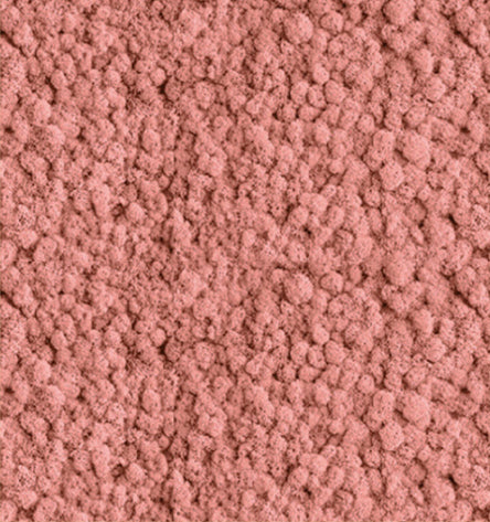 Blushing Rose Red  Reindeer Moss Color Sample