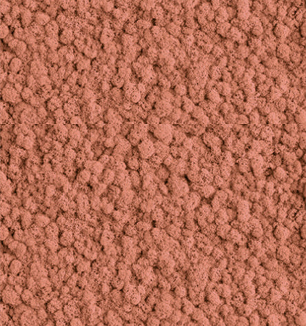 Papaya Punch Red  Reindeer Moss Color Sample
