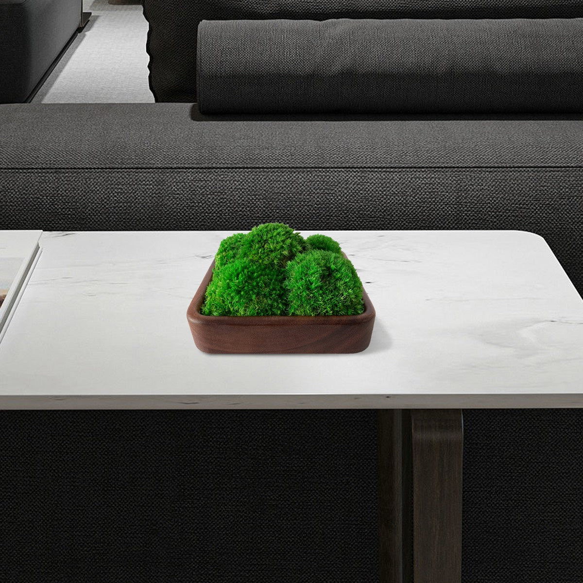 Rectangular Bun Moss Bowl displayed in a modern living room setting, showcasing its vibrant green moss and natural elegance.