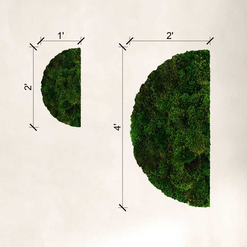 Semicircles Wabi-sabi Moss Wall Art - Moss Art | Wildleaf