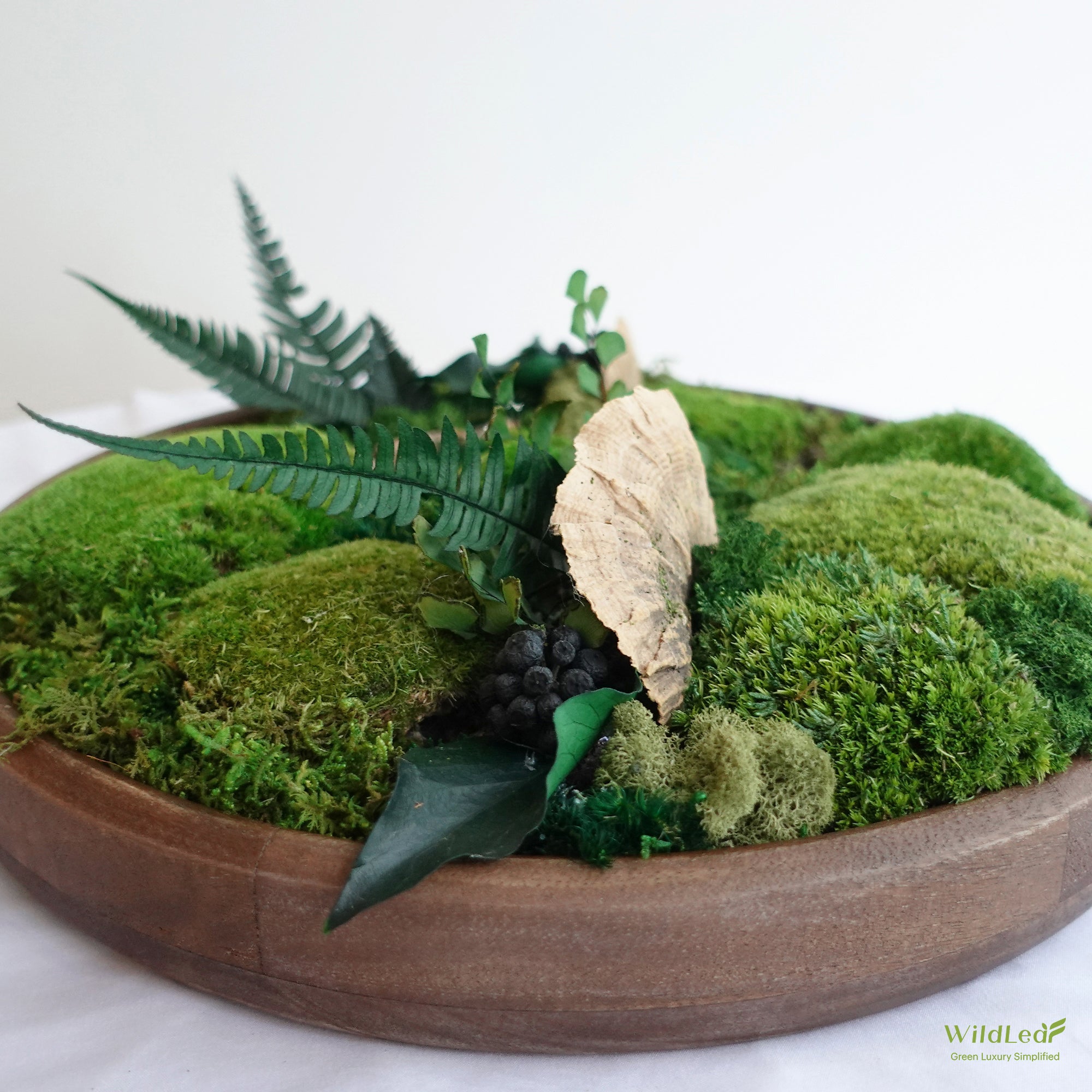Close-up of Round Wood Moss Bowl  with preserved fern leaves and mushrooms, perfect for natural interior decor.