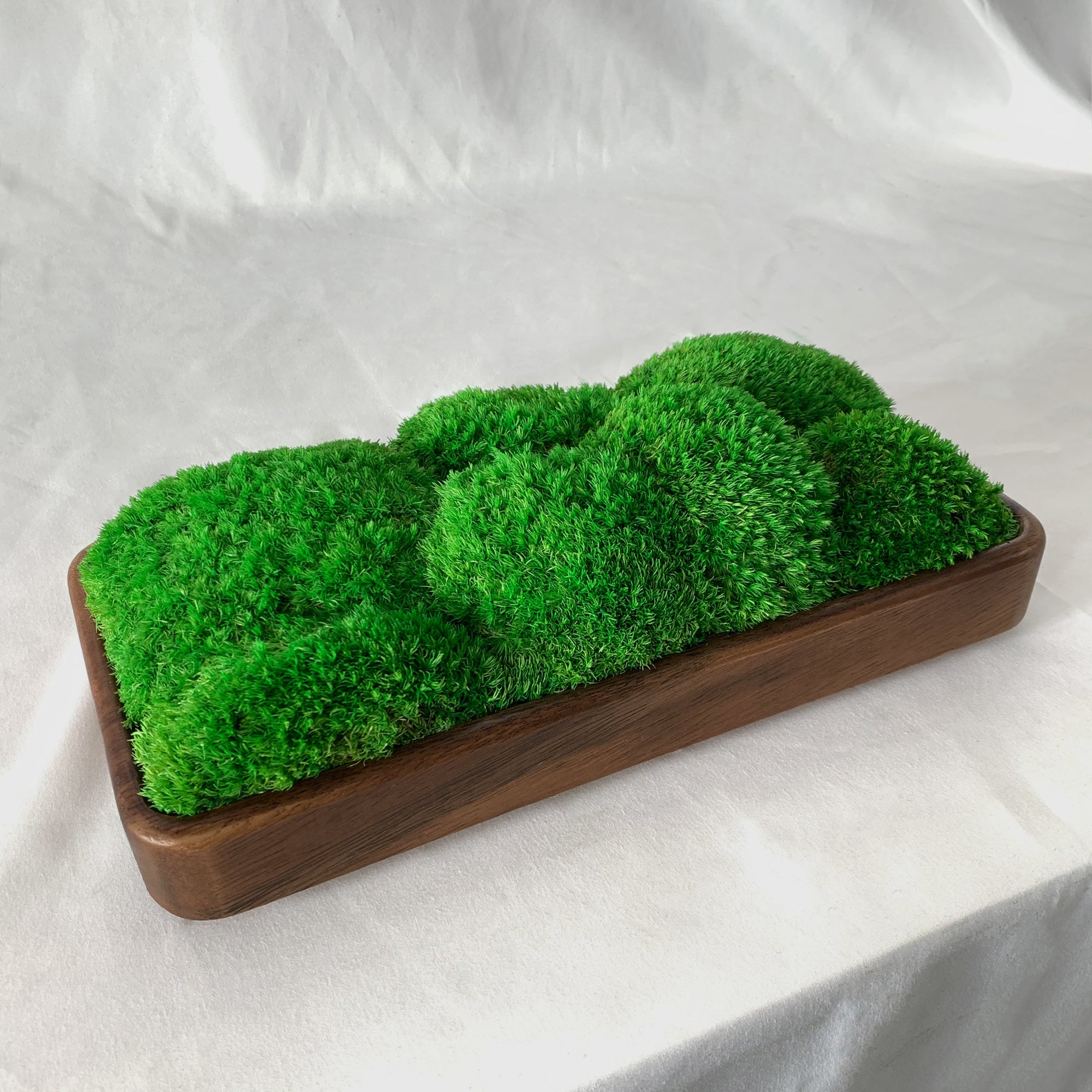 Side profile of a large rectangular dark walnut moss centerpiece.