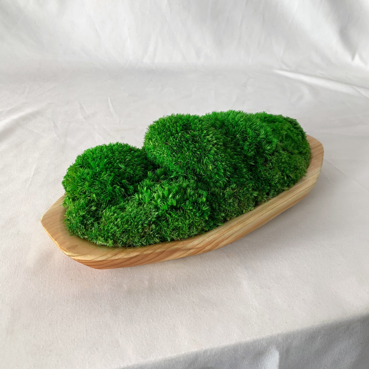 Small live edge wooden moss bowl featuring lush green bun moss in a smooth tray, ideal for enhancing interiors with natural charm.