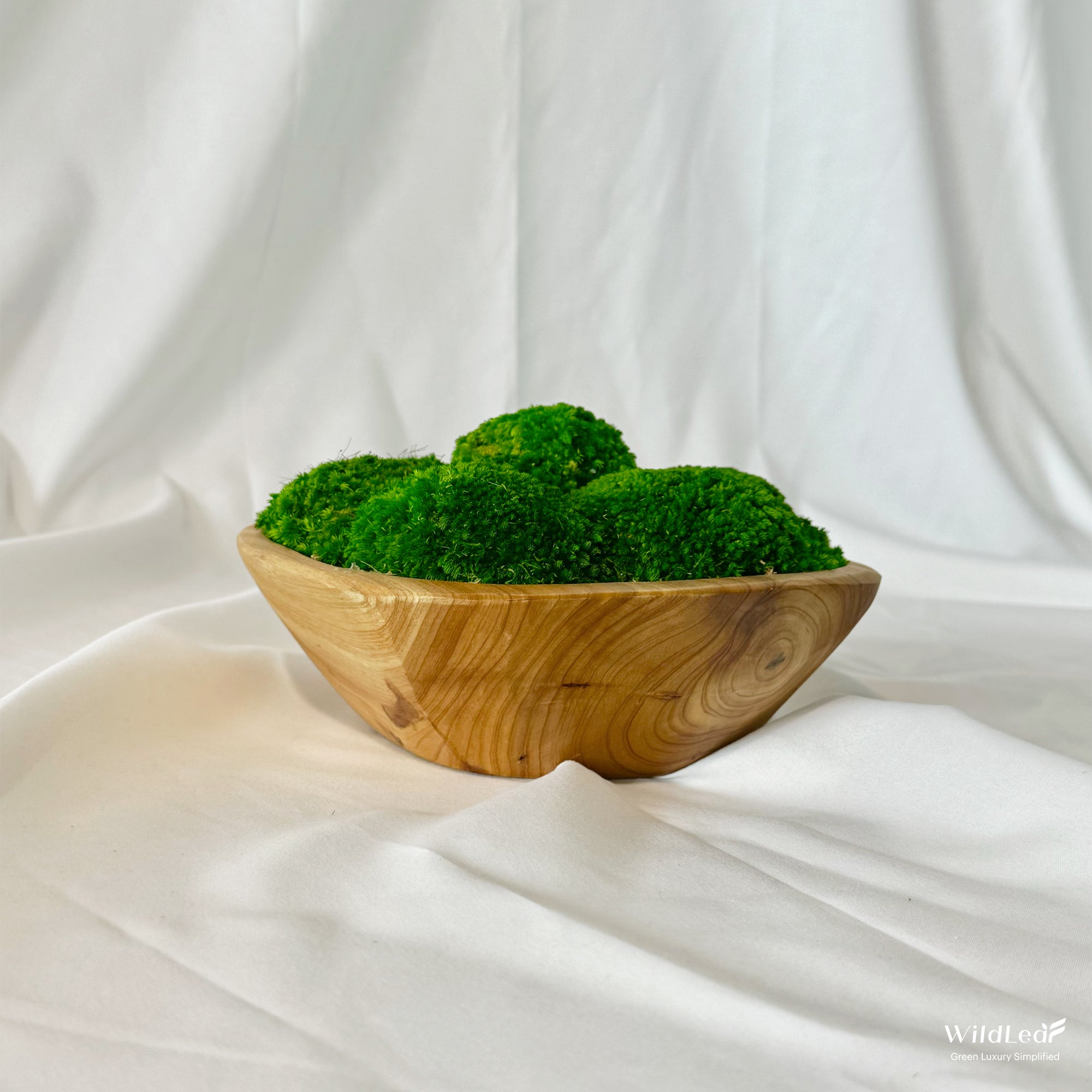 Side profile of teak wood moss bowl showcasing the layered texture of bun moss.