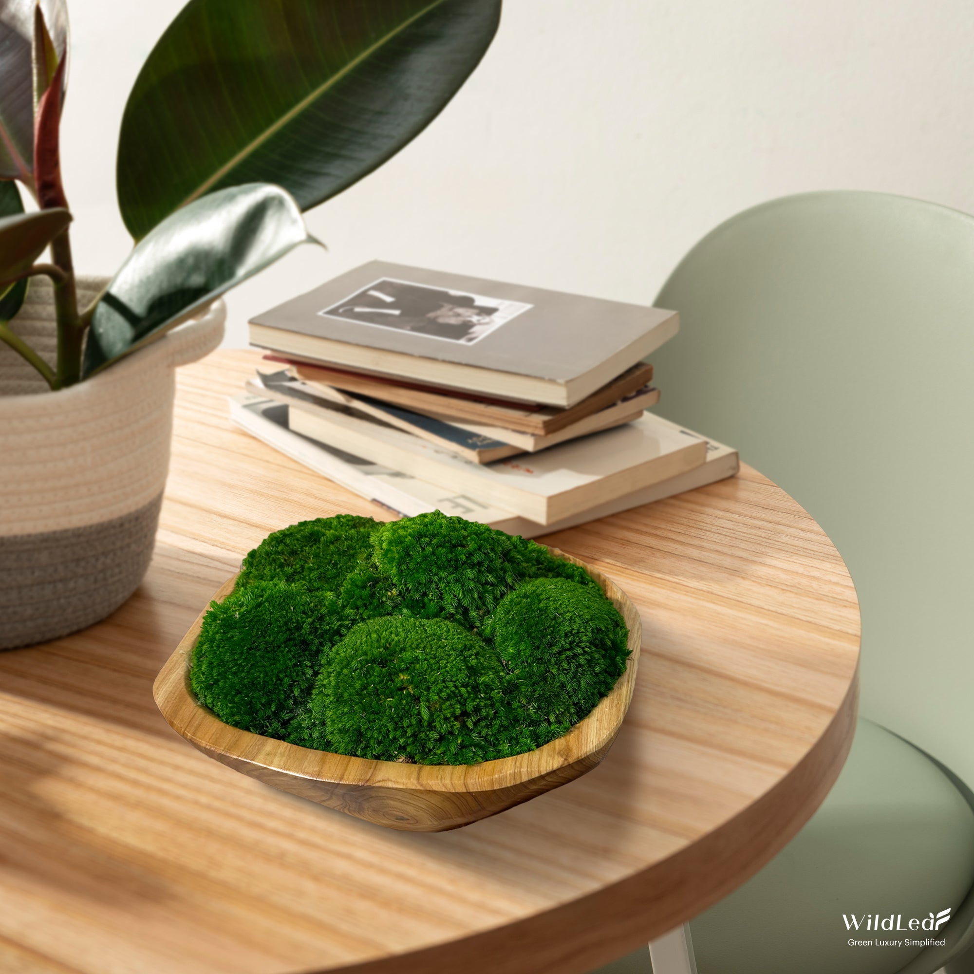 Wooden bun moss bowl displayed in a modern office side table.
