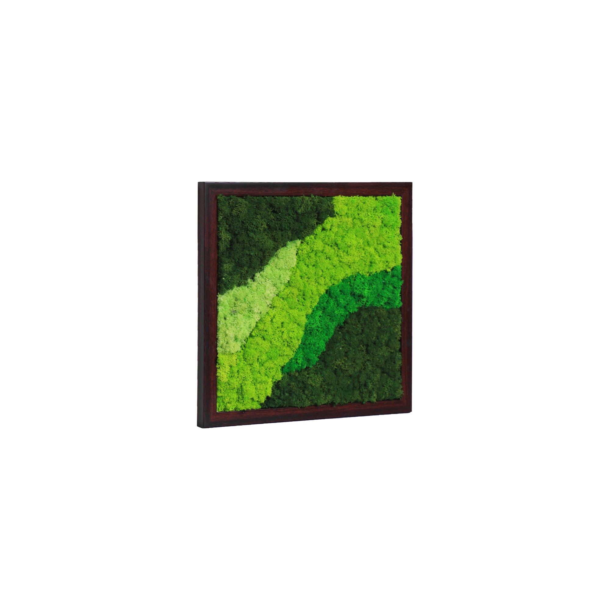 Side profile of square moss panel showing frame depth and moss texture