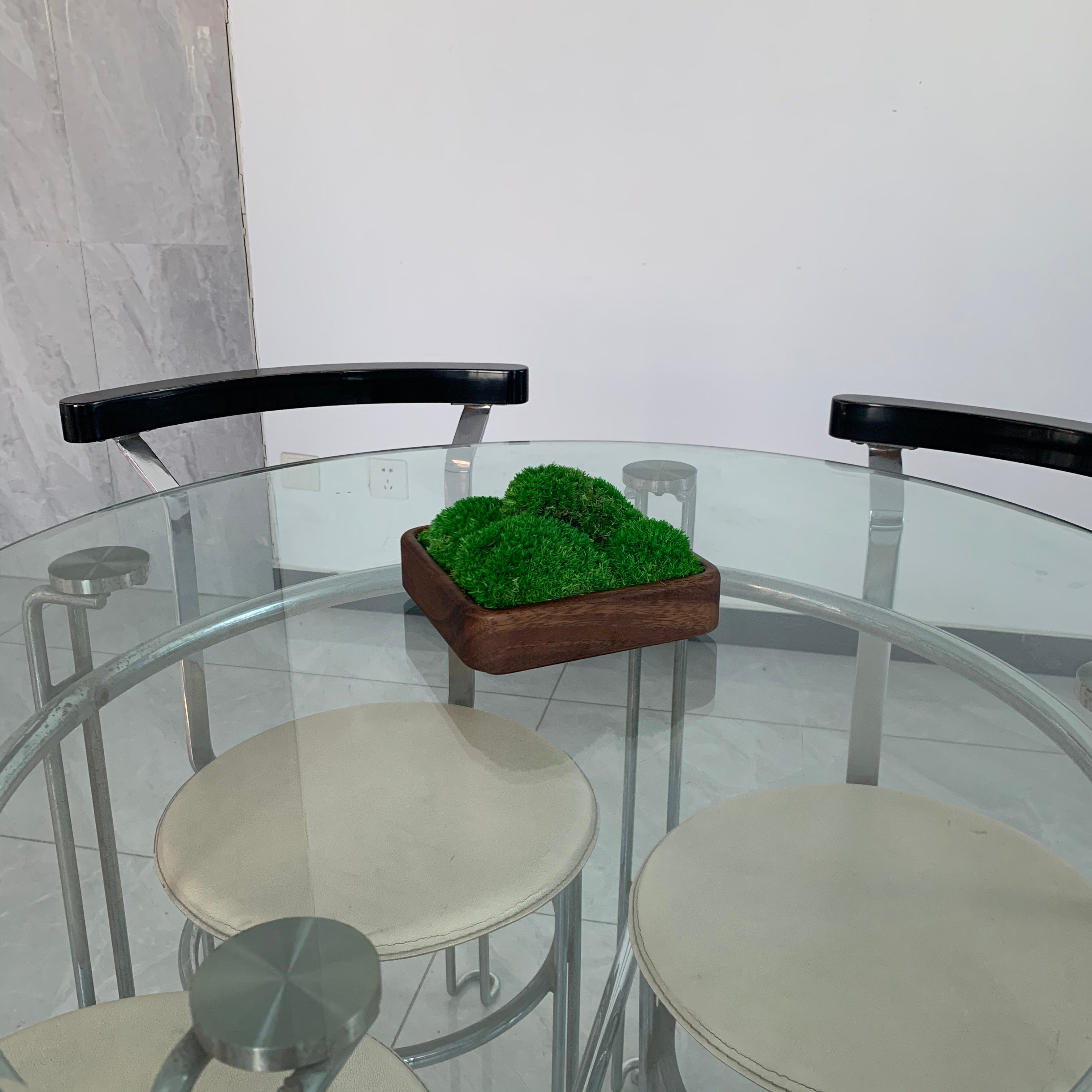 Square shaped moss bowl centerpiece styled on contemporary office room glass table.