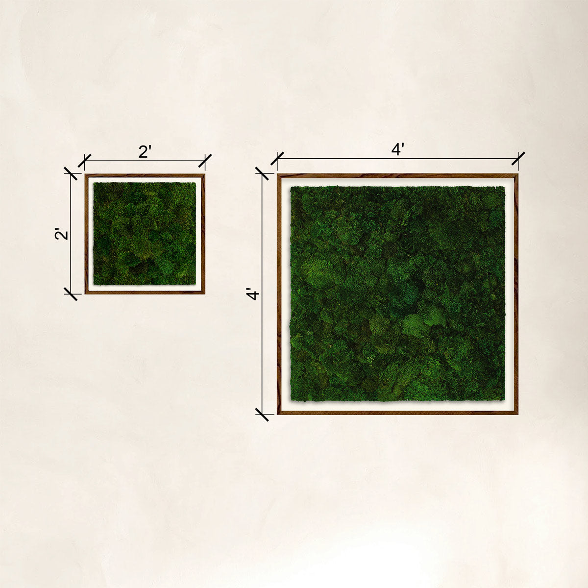 Profile of two square wabi-sabi moss installations showing size difference