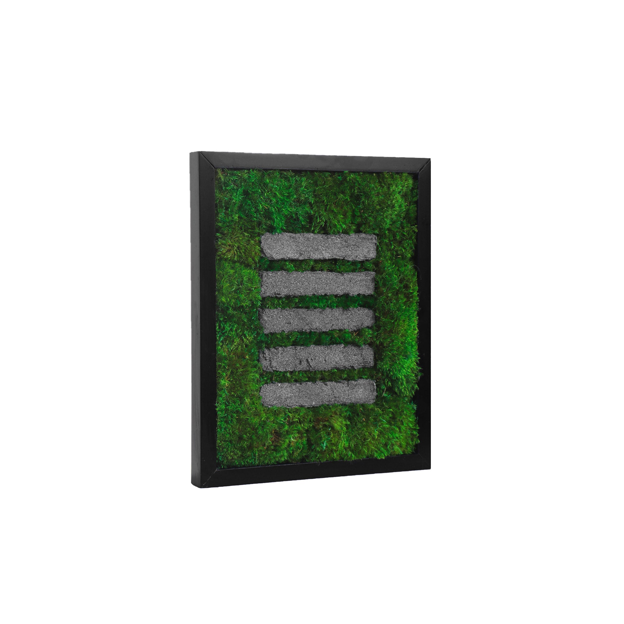 Side view of Stone Strip Moss Art showing black frame and moss depth