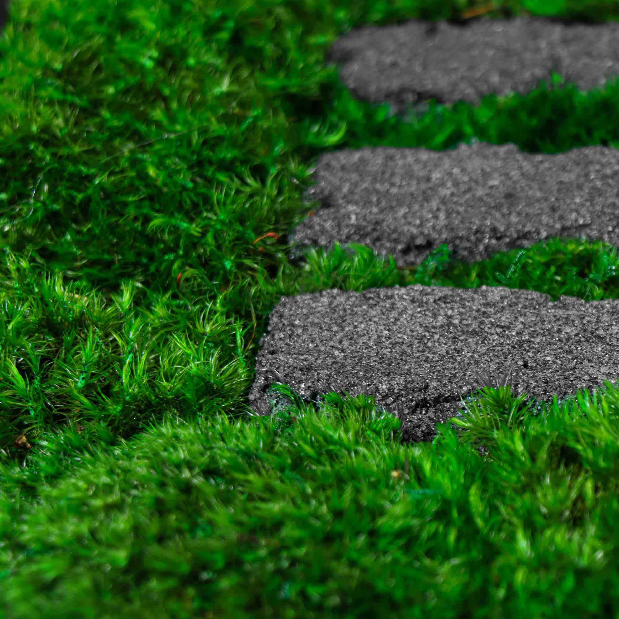 Close-up of slender stone strip texture against lush green moss