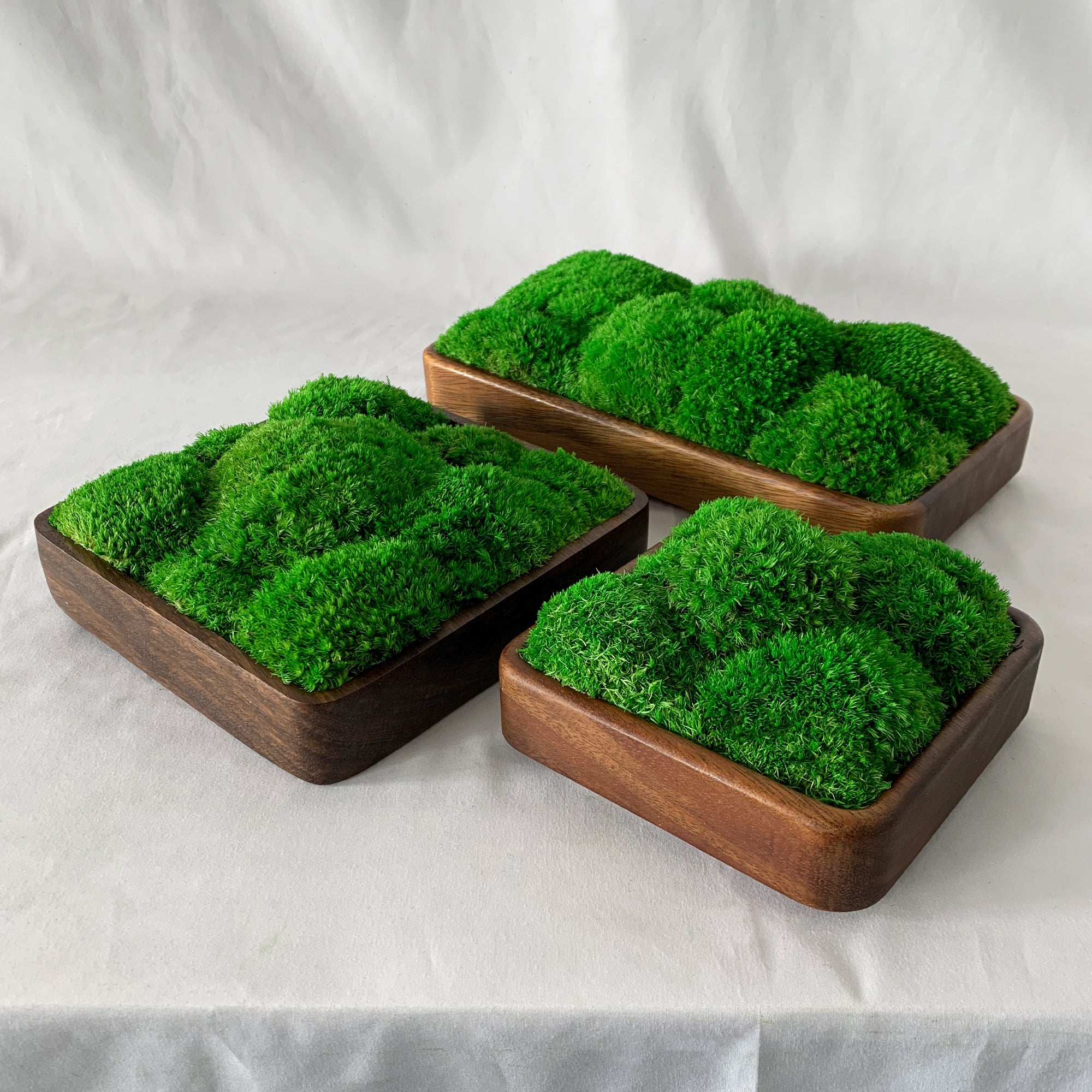 Side view of geometric moss bowls showing rich walnut wood grain detail.