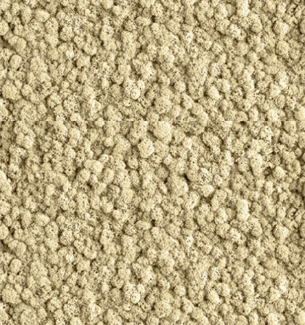 Whispering Mist White Reindeer Moss Color Sample