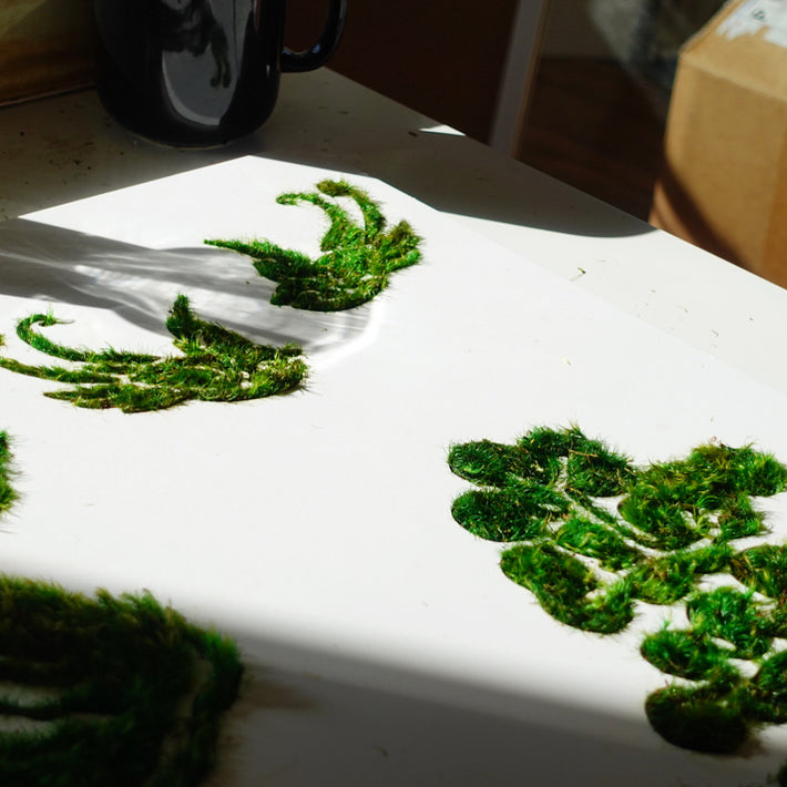 close-up look of a oriental Paper cutting inspired moss wall art 