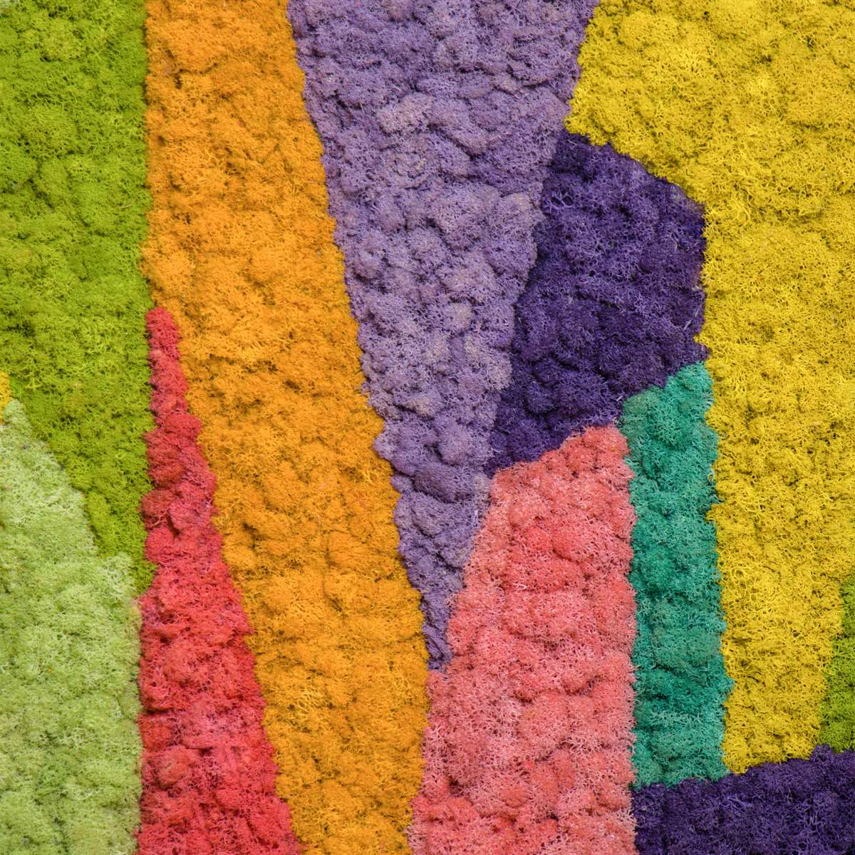 Close-up of abstract reindeer moss wall art featuring warm yellow, coral, purple, and green tones with rich natural texture