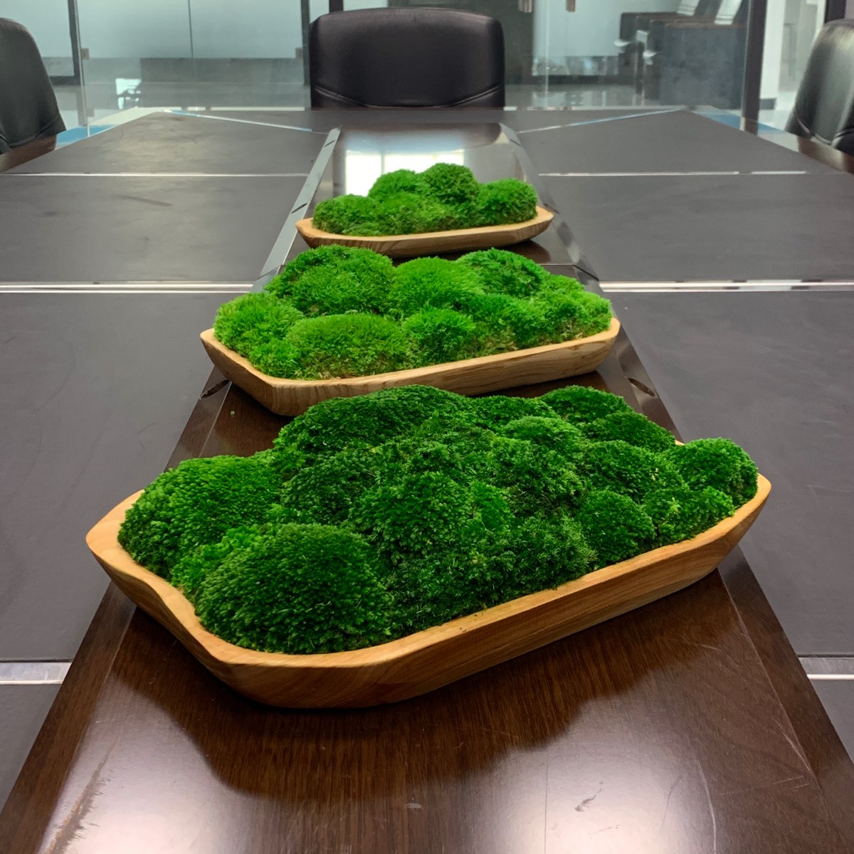 Live edge natural wooden moss bowls arranged on a conference table, featuring preserved green moss as a biophilic tabletop centerpiece.