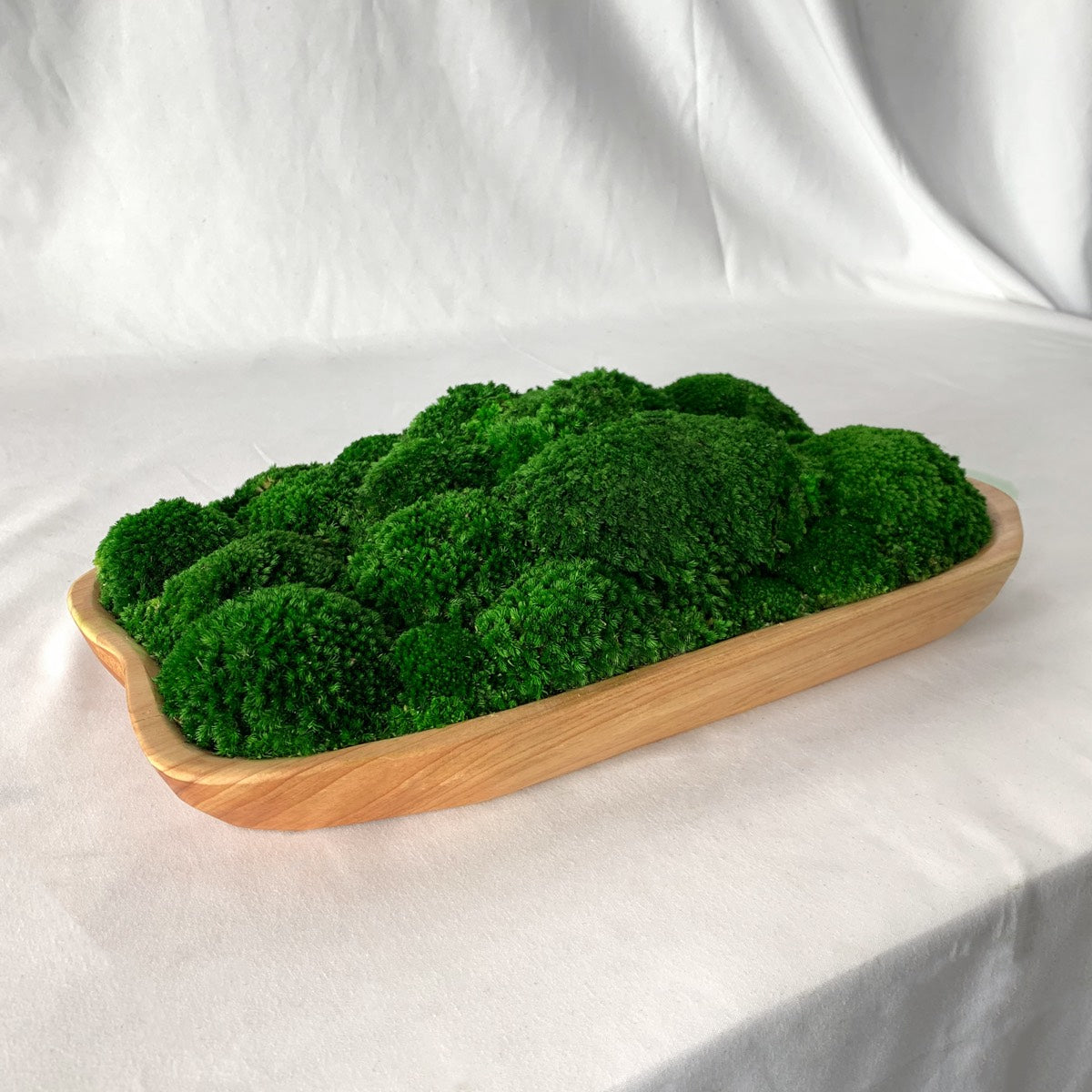 Live edge natural wooden moss bowl filled with preserved green moss on a neutral background