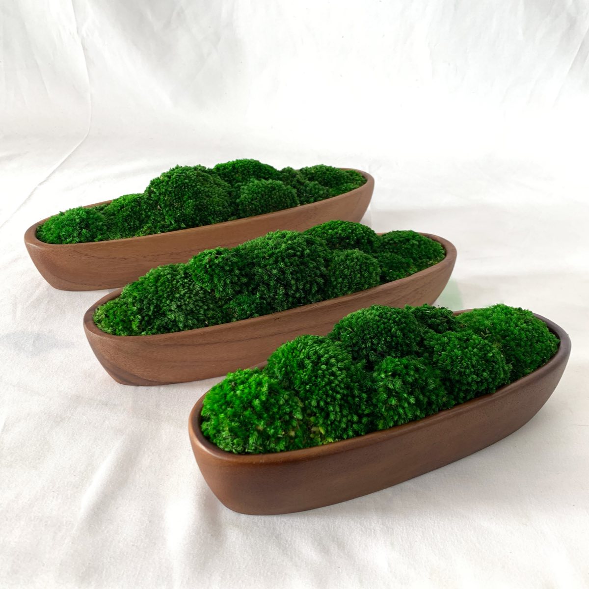 Long walnut decorative moss bowls featuring preserved bun moss, arranged in a minimalist studio setting.