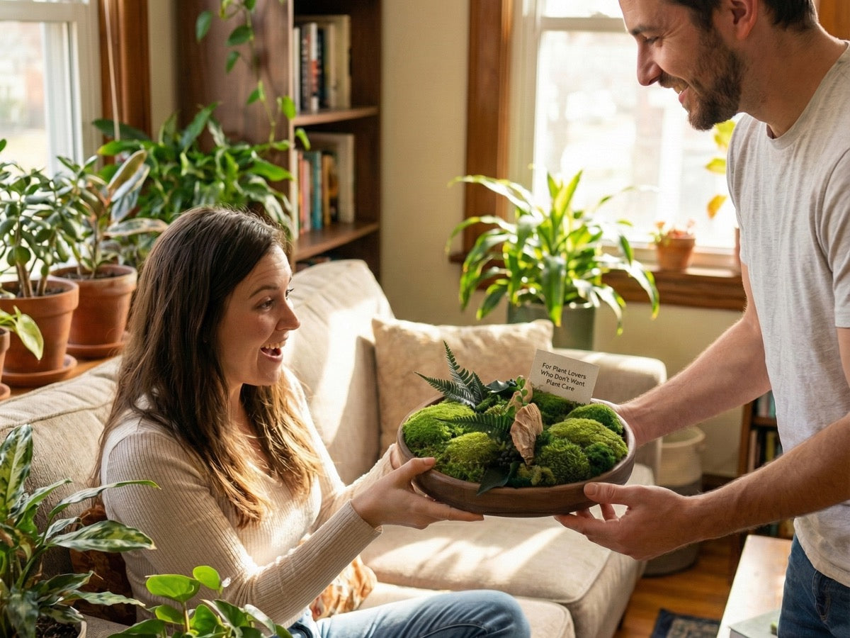 Preserved moss bowl being gifted at home, a zero-maintenance decor gift for plant lovers who want greenery without plant care.