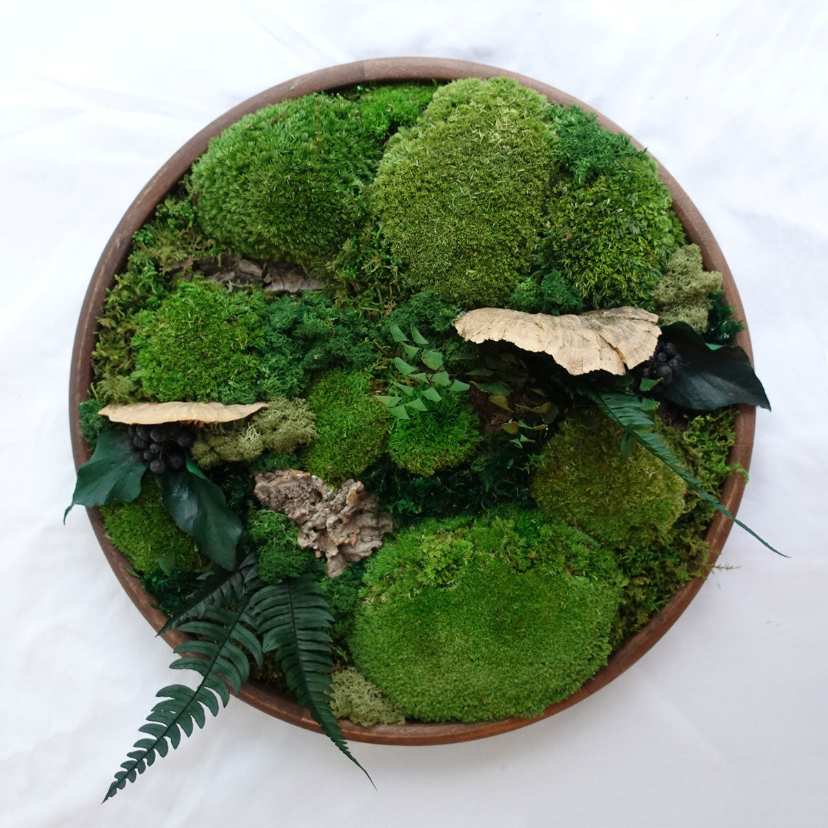 Top view of a preserved moss bowl with layered moss textures and natural botanical elements in a wooden bowl