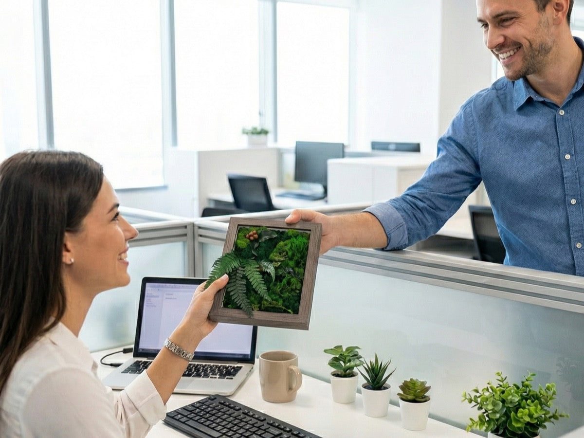 Preserved moss frame gifted in a modern office, a zero-maintenance desk decor piece for coworkers and clients