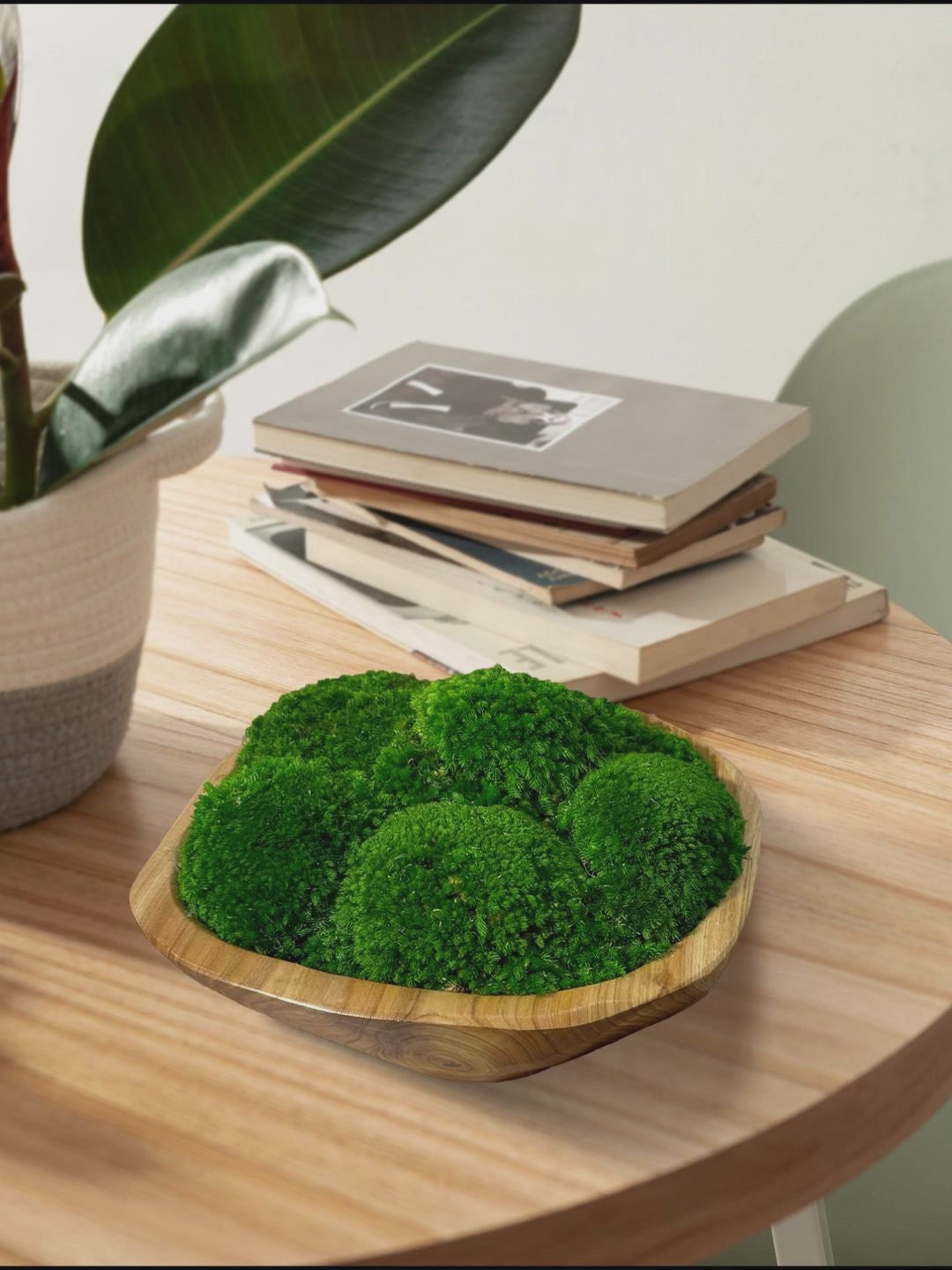Clusters of preserved bun moss rest in a live edge wooden vessel, creating a mesmerizing zen-inspired centerpiece.