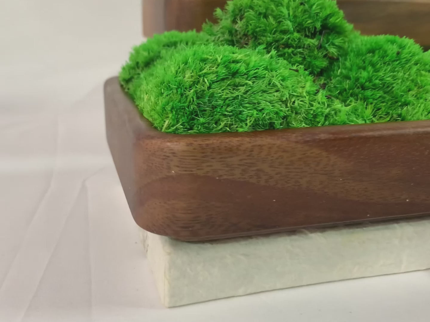 Video presentation of Rectangular Bun Moss Bowls, showcasing three wooden moss-filled bowls on a white background