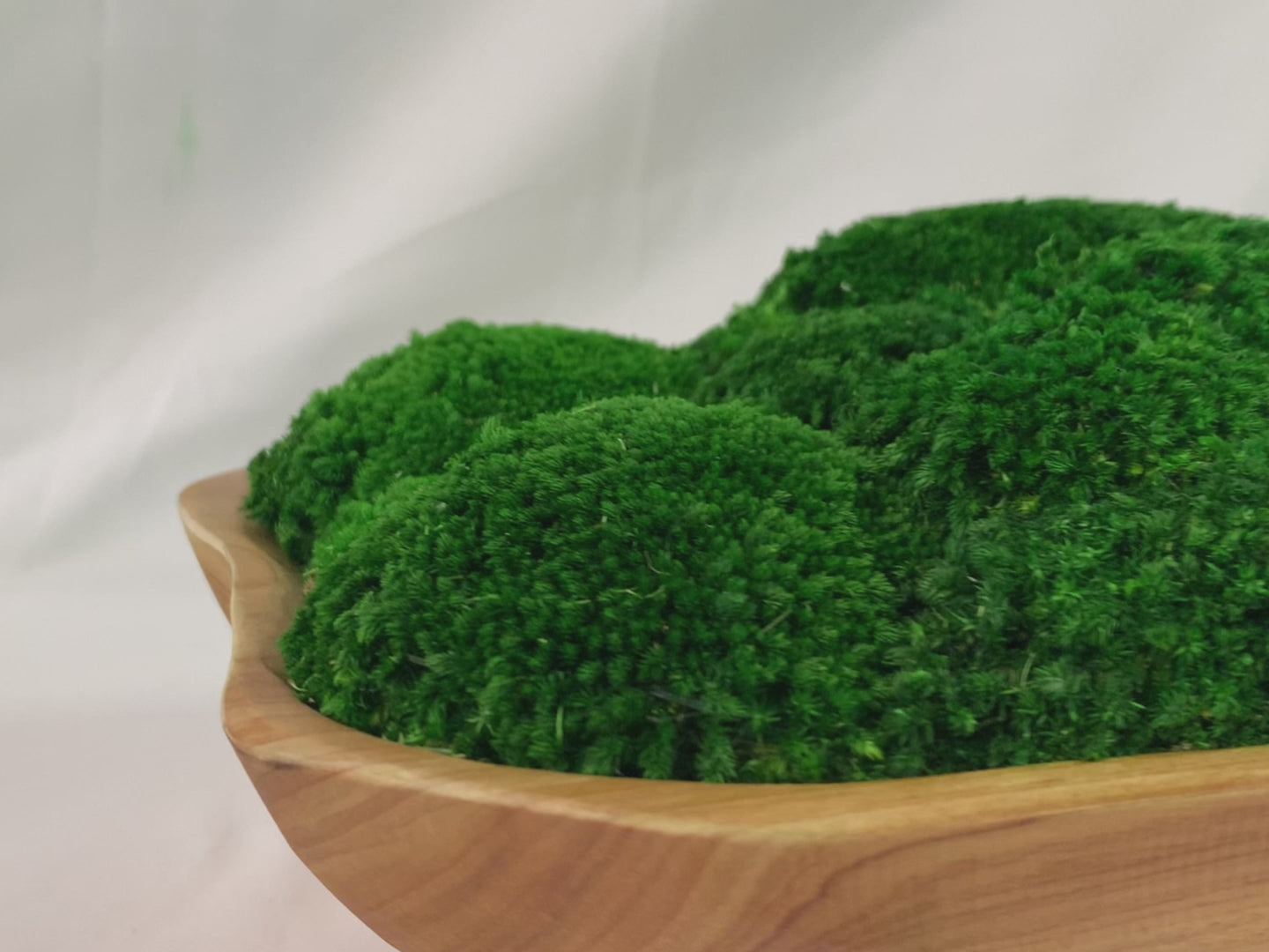Showcase video of three Live Edge Moss Bowls in different sizes, displaying natural wood curves and vibrant preserved moss