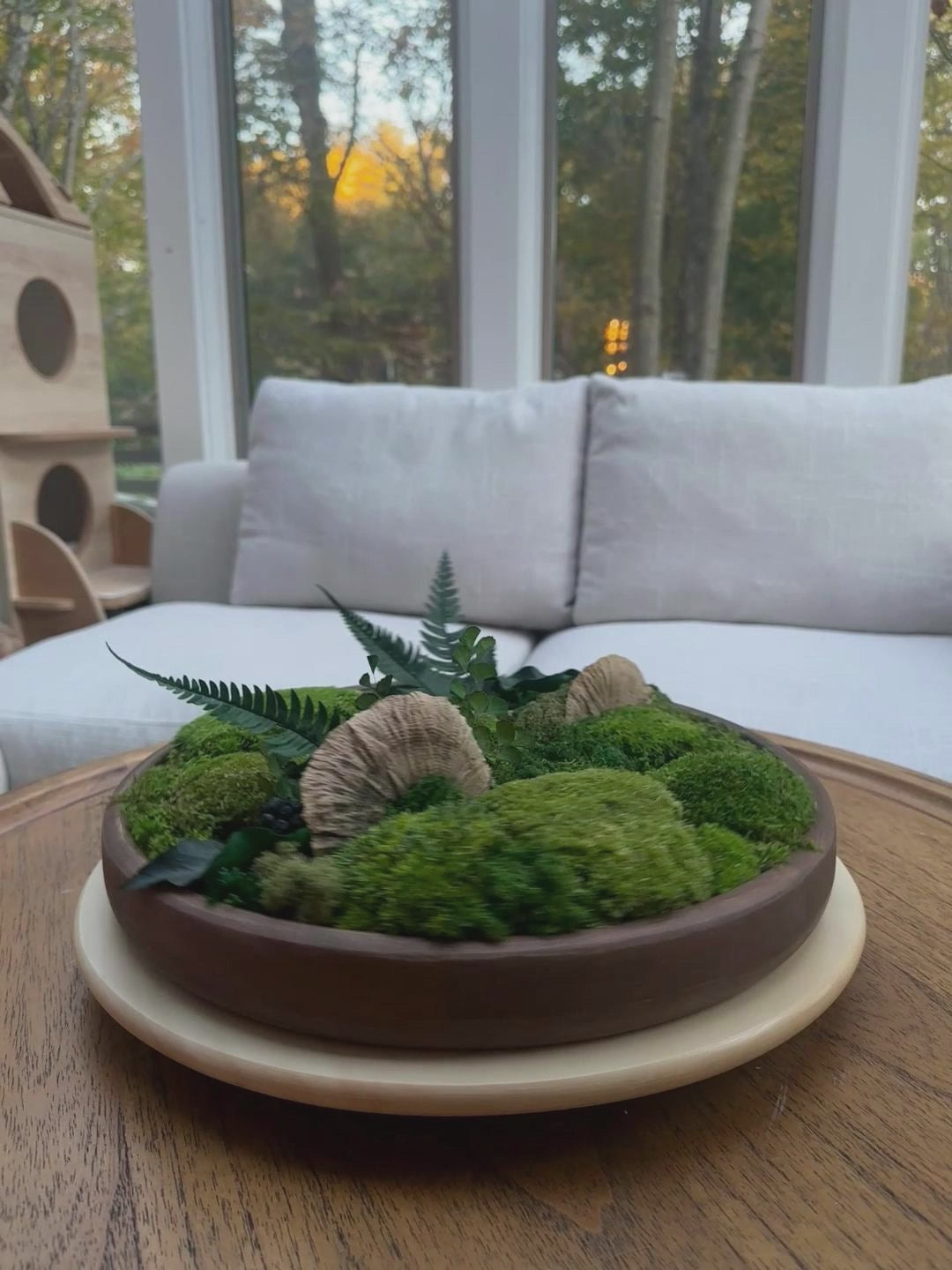 A 360-degree showcase of our Round Wooden Moss Bowl with Plants, elegantly displayed on a turntable to highlight its natural and sophisticated beauty in an indoor setting.