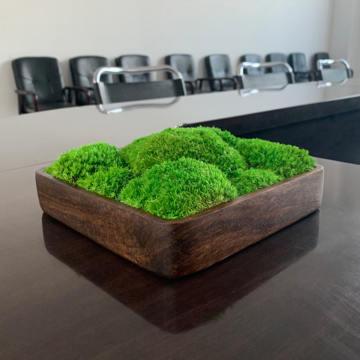 Rectangular bun moss bowl with preserved green moss in a walnut wood tray, styled on a modern office conference table