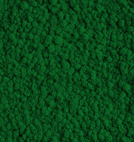 Emerald Green Reindeer Moss Color Sample